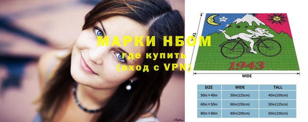 ешки Елабуга