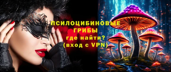 кокс Ельня