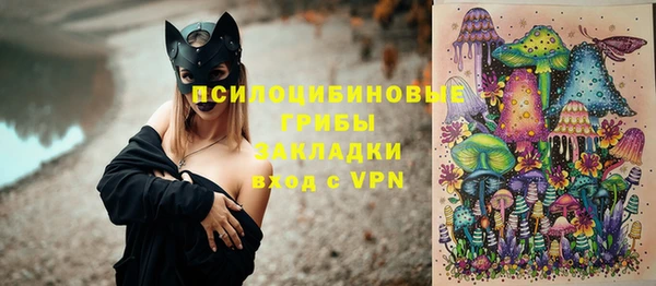 кокс Ельня