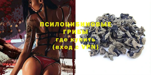 Альфа ПВП Елизово