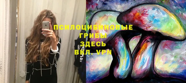 Альфа ПВП Елизово