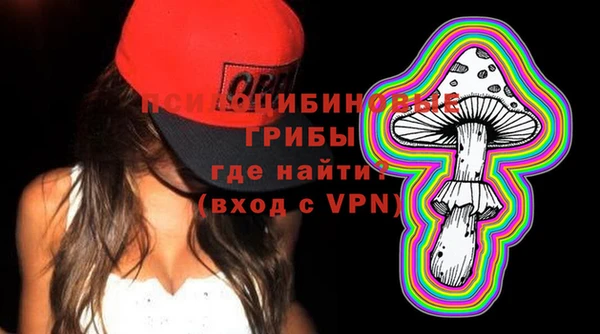 Альфа ПВП Елизово