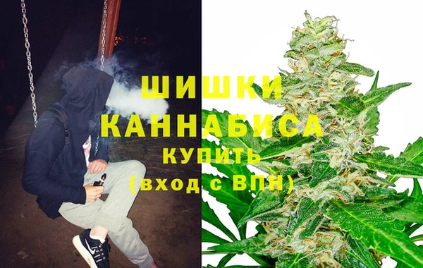 кокс Ельня
