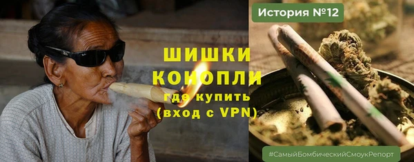 кокс Ельня